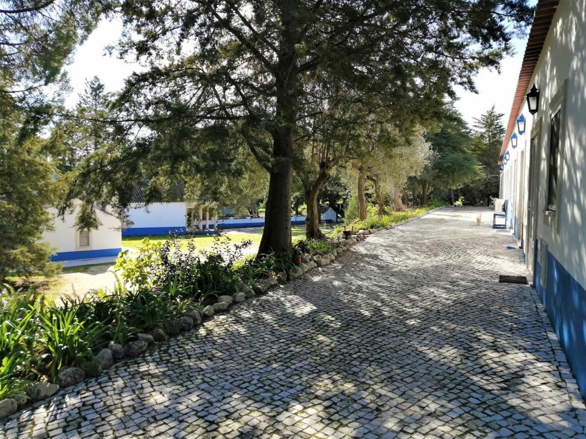Gasthaus Quinta Dos Anjos Santarém Exterior foto